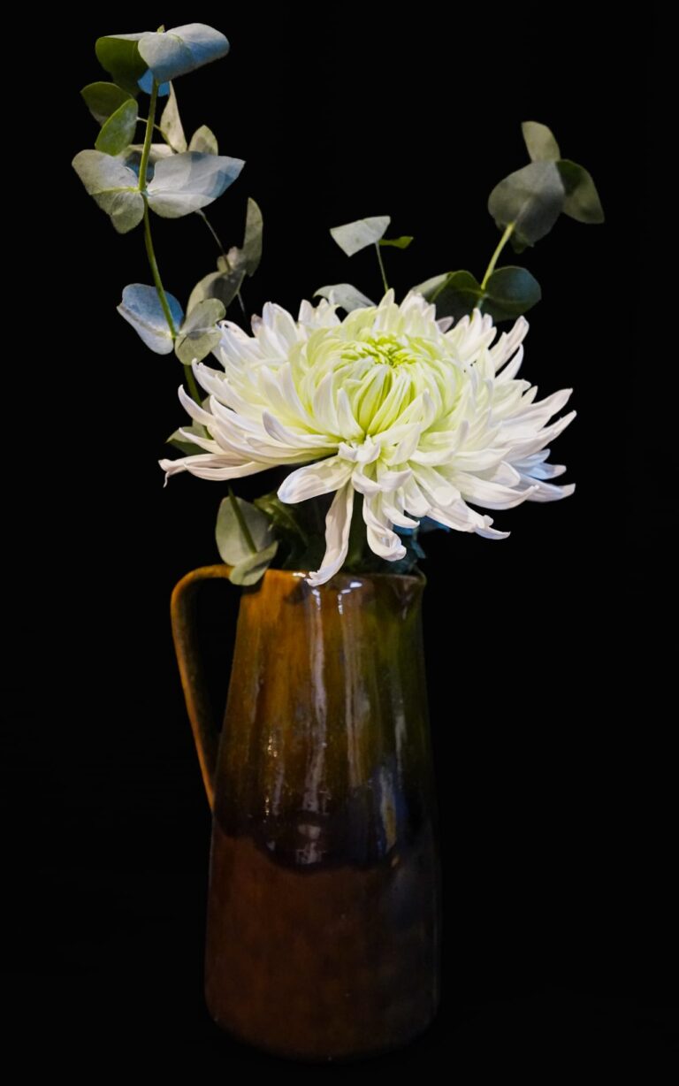 Dannie Thornton