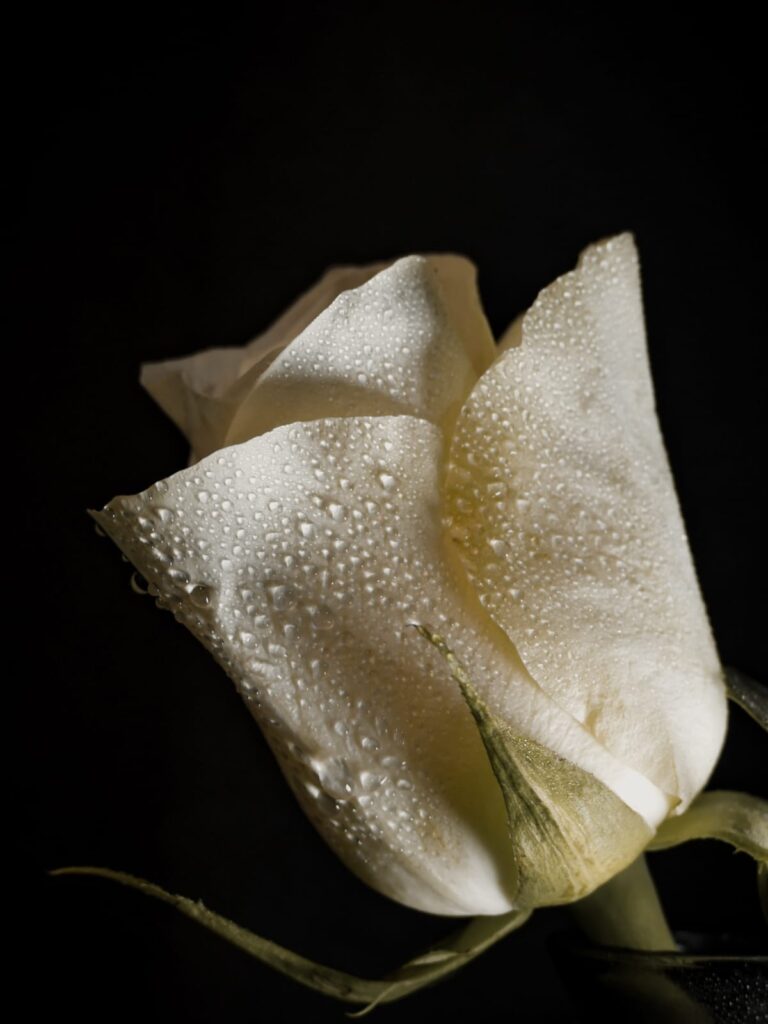 Ruth Kelsey