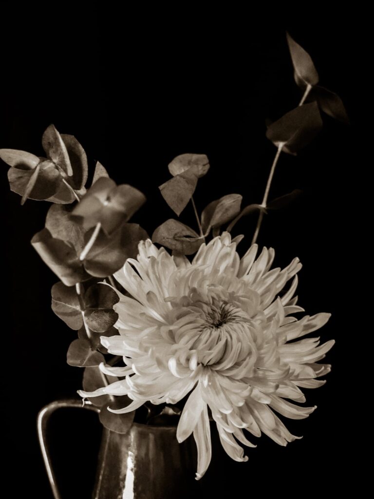 Ruth Kelsey